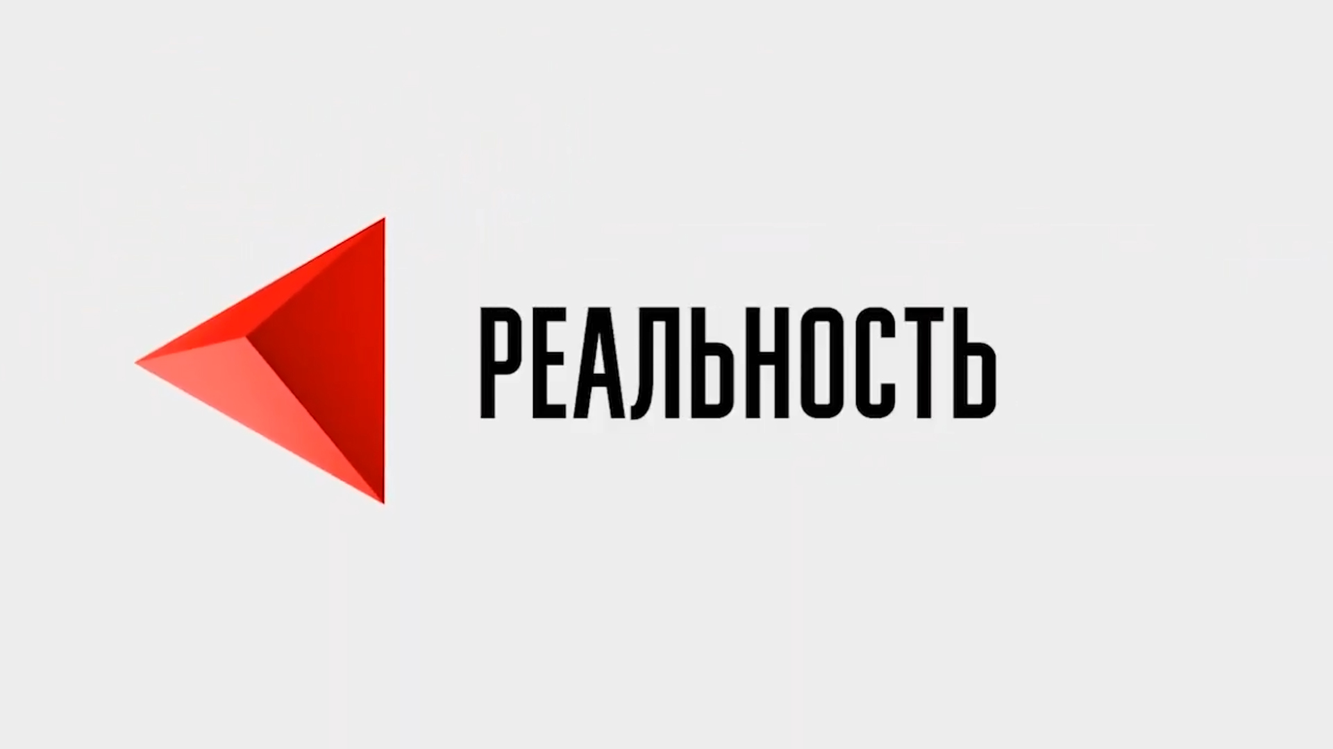 Репортер реальность